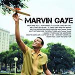 icon-1-cd-cd-marvin-gaye-00602527450926-26060252745092