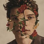 shawn-mendes-shawn-mendes-shawn-mendes-vinil-importado-00602567569497-00060256756949