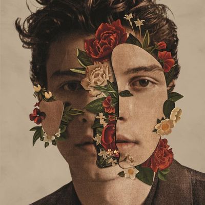 VINIL Shawn Mendes - Shawn Mendes Standard Version - Importado - 33 RPM