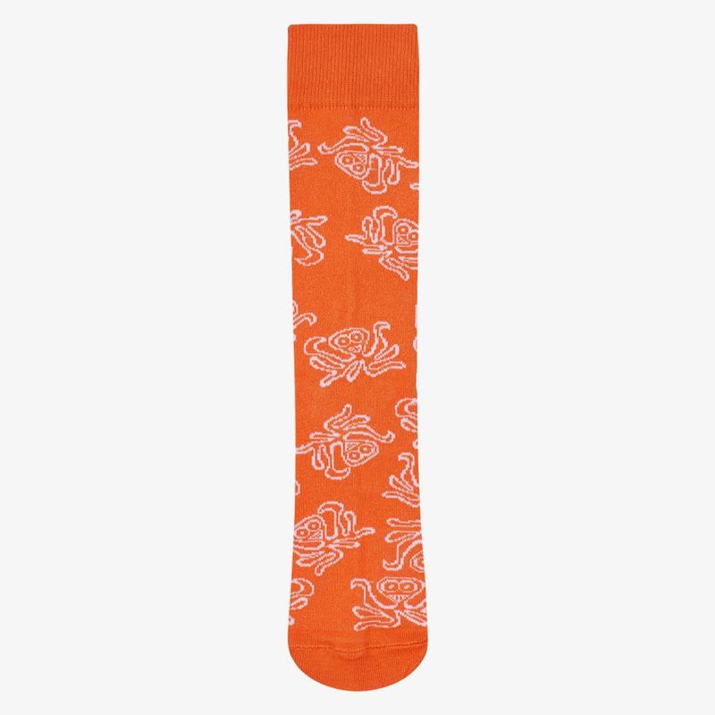 meia-masculina-charlie-brown-jr-zoio-de-lula-laranja-com-lula-branca-meia-masculina-charlie-brown-jr-zoio-de-00602508144257-26060250814425