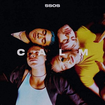 Vinil 5 Seconds Of Summer - CALM - Standard Vinyl Importado