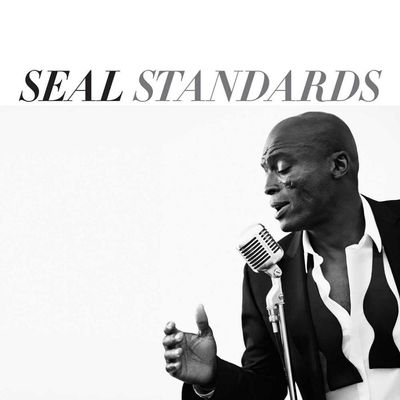 VINIL Seal - Standards - Importado