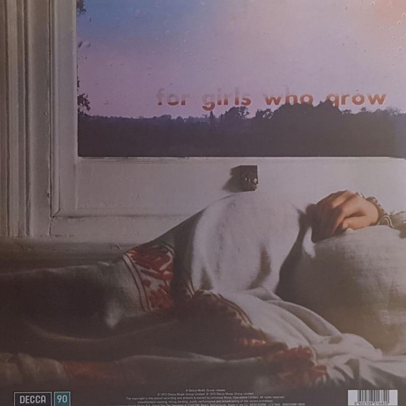 vinil-caravan-for-girls-who-grow-plump-in-the-night-reissue-2019-importado-vinil-caravan-for-girls-who-grow-plump-00602508016820-00060250801682