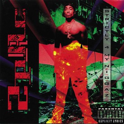 Vinil Duplo 2Pac - Strictly 4 My N.I.G.G.A.Z... (2LP) - Importado