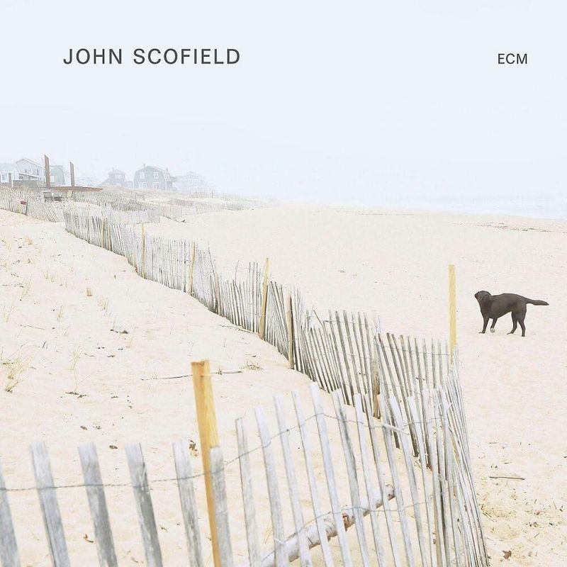 vinil-john-scofield-john-scofield-lp-importado-vinil-john-scofield-john-scofield-lp-00602445343874-00060244534387