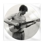 vinil-shawn-mendes-shawn-picture-disc-importado-vinil-shawn-mendes-shawn-picture-disc-00602468006411-00060246800641