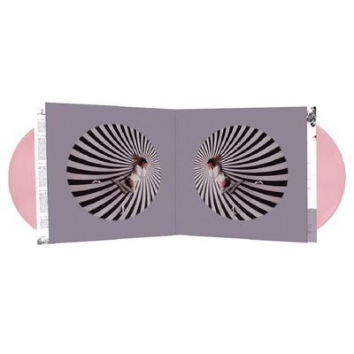 Vinil Ariana Grande - My Everything (Tenth Anniversary Edition/2LP) - Importado