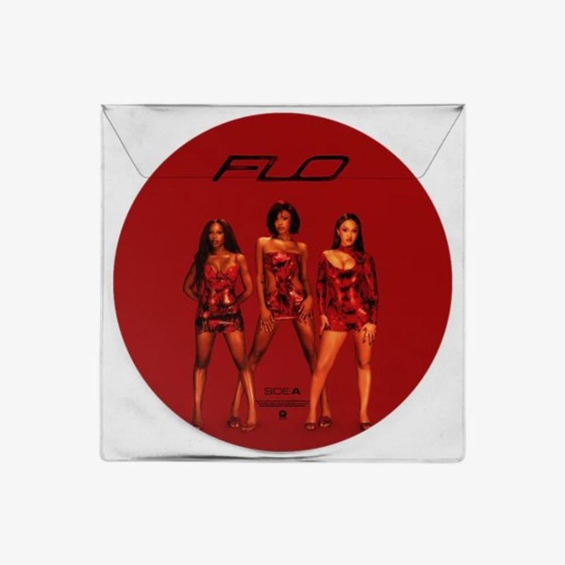 vinil-flo-access-all-areas-lp-picture-disc-importado-vinil-flo-access-all-areas-lp-picture-00602465364507-00060246536450