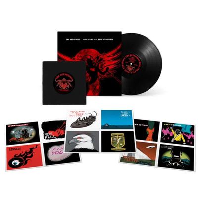 Vinil The Offspring - Rise And Fall, Rage And Grace (15th Anniversary / LP Deluxe Edition) - Importado