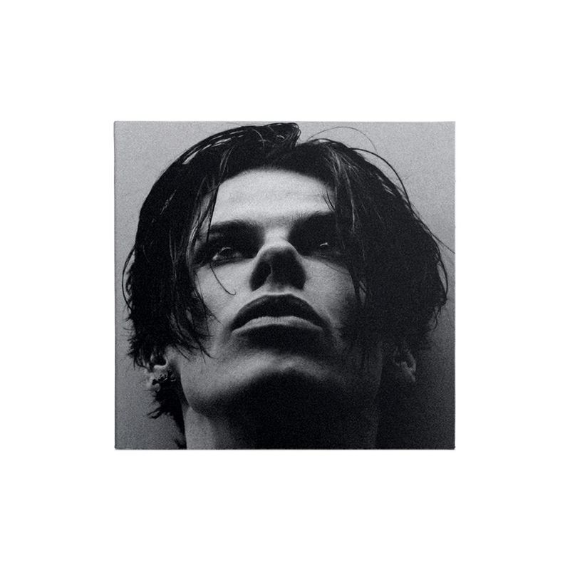 cd-yungblud-idols-collectible-collage-2-of-6-importado-cd-yungblud-idols-collectible-collage-00602478270055-00060247827005