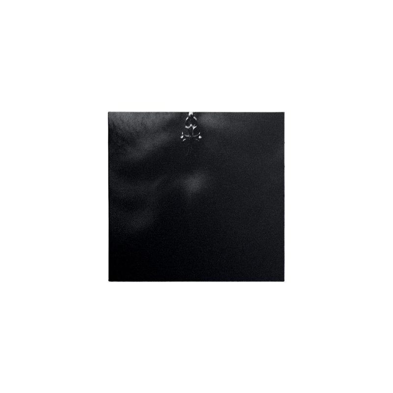 cd-yungblud-idols-collectible-collage-3-of-6-importado-cd-yungblud-idols-collectible-collage-00602478270130-00060247827013