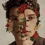 cd-shawn-mendes-shawn-mendes-importado-cd-shawn-mendes-shawn-mendes-importa-00602577052620-00060257705262