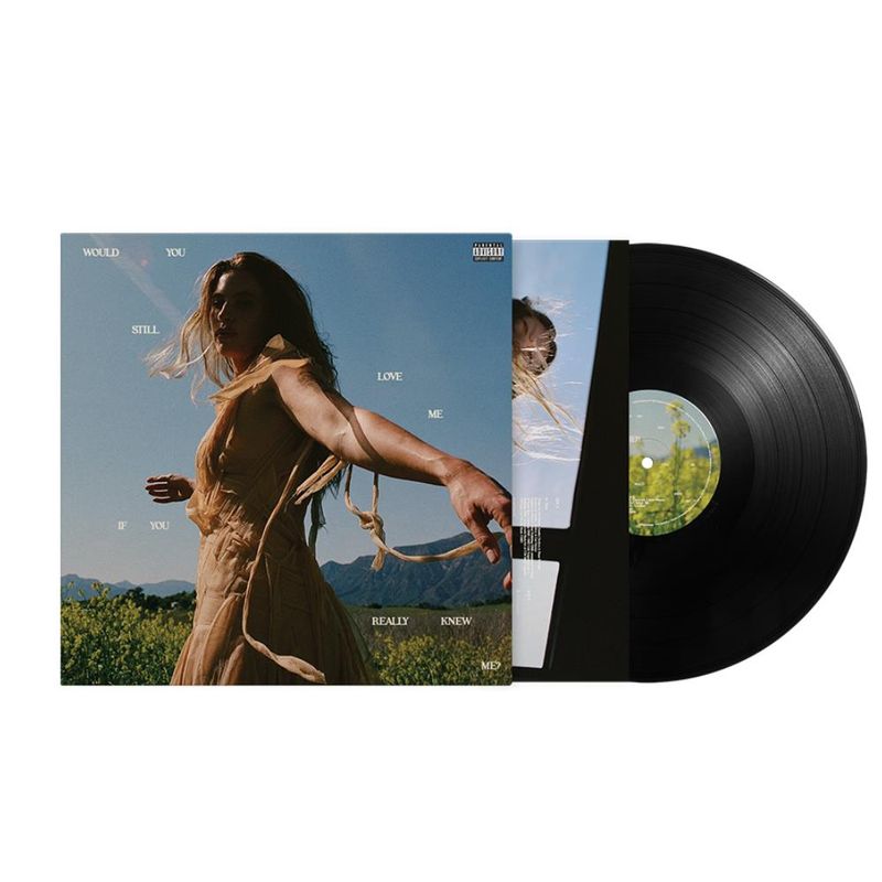 vinil-fletcher-would-you-still-love-me-if-you-really-knew-me-importado-vinil-fletcher-would-you-still-love-me-00602478152283-00060247815228