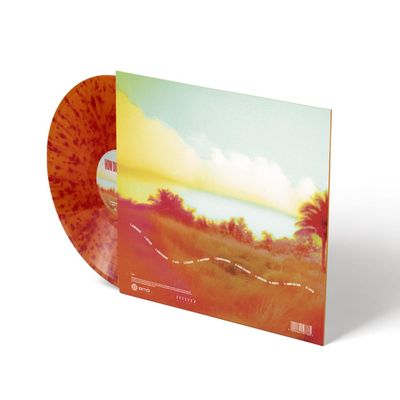 Vinil Louis Tomlinson - How Did I Get Here? - Importado